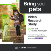 Video Research Study | Seattle,  Washington